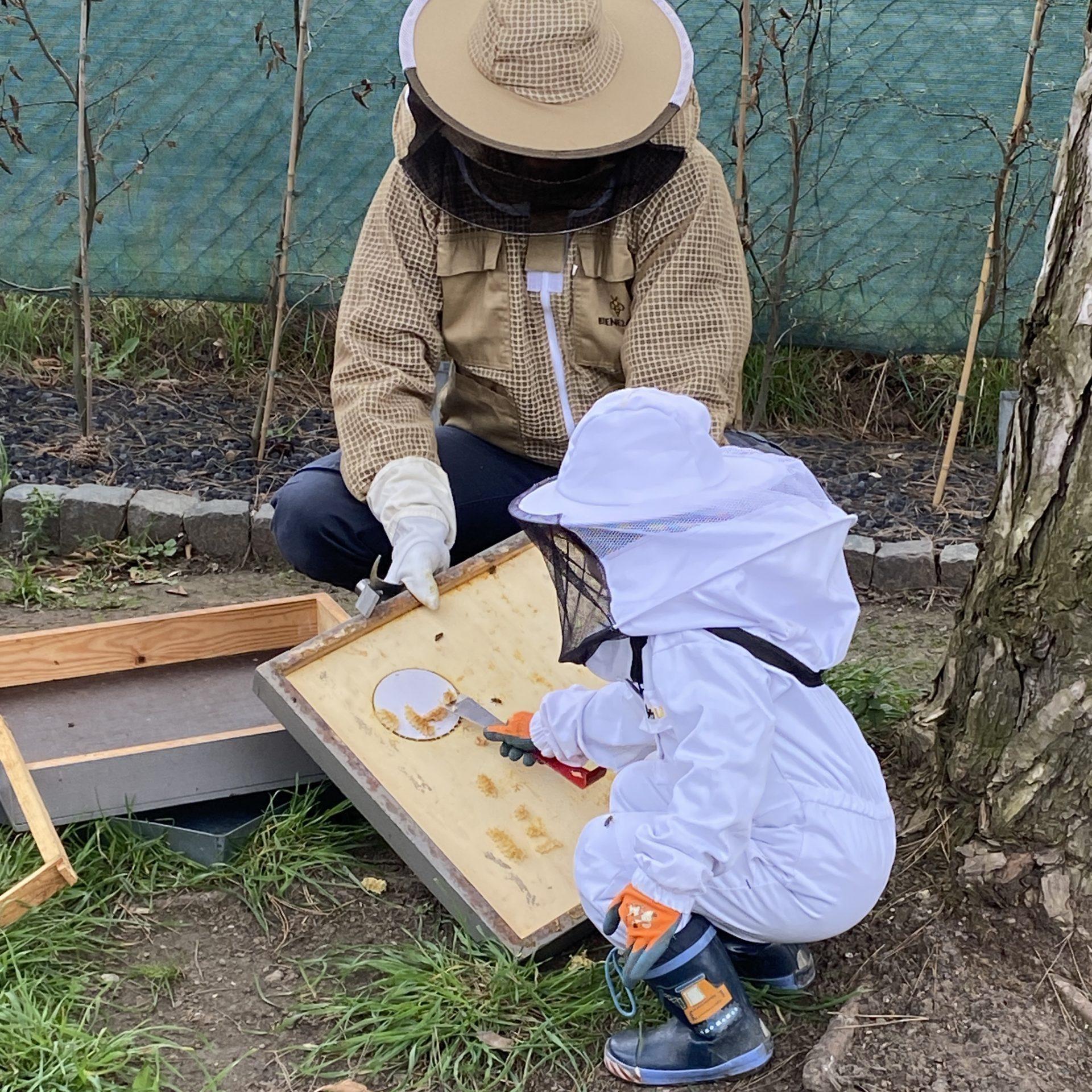 Kinder am Bienenstand